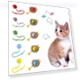 Rechargeable Smart Cat Toys Fast Rolling Self Moving Balls — Interactive Animal Companions, badgsh