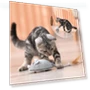 Smart Electric Mouse Toy — Cat Playthings, AIMEI Pet Tools