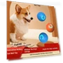 Smart Interactive Rolling Cat Ball Toy — Cat Playthings, yuanlin