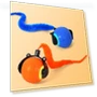 Automatic Smart Pet Toys — Cat Playthings, PYduole