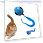 Automatic Training Ball for Pets — Automatic Launchers, SHshuaizhen