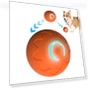 Interactive Rolling Cat Ball Toy — Cat Playthings, banguai