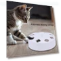 Intelligent Bite Resistant Automatic Cat Teaser — Cat Playthings, Pet park