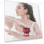 Intelligent Vacuum Massage Device with Electric Heating — Magnetic Therapy, Sexy Lingerie