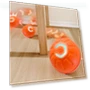 Interactive LED Ball Toy for Dogs — Balls, Jianshen