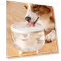 Automatic Pet Water Fountain — Fountains, Pet park