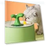Automatic Water Fountain for Pets — Fountains, Pet park