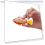 Robo Fish Robotic Swimming Fish — Interactive Animal Companions, ZURU