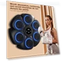 Smart Musical Boxing Trainer — Boxing Training Gear, Mind Garden