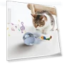 Infrared Interactive Rolling Cat Toy — Cat Playthings, Boyuan