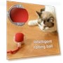 Automatic Electric Rolling Ball Cat Toy — Cat Playthings, Wotypea