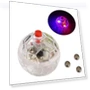 Glowing Ball Pet Toy — Balls, AE Selection