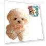 Robot Dog Pet Toy — Interactive, Japan Zen Mall
