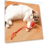 Automatic Electric Rolling Ball — Cat Playthings, Shanylty