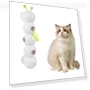 Interactive Smart Caterpillar Toy — Interactive Animal Companions, Guan Erye
