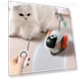 Interactive Smart Toy Car for Cats — Cat Playthings, QIIAII D