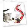 Smart Snake Probe Toy — Interactive Animal Companions