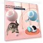 Interactive Cat Ball — Cat Playthings, Free carnival