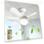 Silent Motorized Ceiling Fan with Remote Control — Ceiling Fans, new boy 01