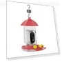 Smart Hummingbird Feeder with Camera — Backyard Birding, TOMTOP JMS