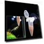 Automatic Fish Feeder — Feeders, Factory Discount Outlet