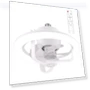 Ceiling Fan with Remote Control — Ceiling Fans, Pleasure Holiday