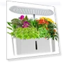 Plant Grow Light — Growing Lamps, TOMTOP JMS
