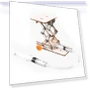 Electric Crawling Robot DIY Kit — Science Kits, 888 Auto Parts Town