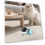 Automatic Cat Toy with Rechargeable Function and Remote Control — Cat Playthings, Fashion Jelewery