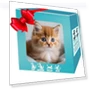 Realistic Robot Cat — Cameras & Monitors, Happy Camp