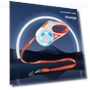 Automatic Retractable LED Dog Leash — Training Leads, Smart Pet Supplies