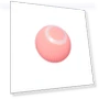 Interactive Cat Ball — Cat Playthings, BC Pet Supplies