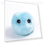 Interactive Cat Toy Ball — Cat Playthings, BC Pet Supplies