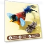 Interactive Cat Toy — Cat Playthings, Smart Pet Supplies
