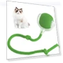 Interactive Lettuce Rolling Ball Toy — Interactive Animal Companions, Chicago Rose