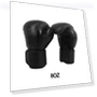 LED Bluetooth Boxing Training Target — Boxing Training Gear, Binchi Keji Travel