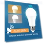 LED Motion Sensor Lamp — LED, Serene Homes