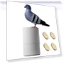 Automatic Soap Dispenser — Care Dispensers, House & Kitchen
