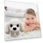 Realistic Robot Puppy — Interactive, Colorful wall