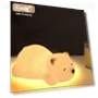 Cute Touch Night Light — Night Lights, Luckybw