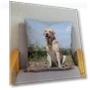 Smart Labrador Retriever Pillow Cover — Pillow Covers, zheyu