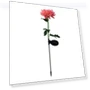 Solar Light LED Chrysanthemum Flower Garden Light — Garden Illumination, Smart Mouse