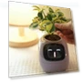 Smart Pet Pot — Nursery Pots, HappyToy