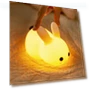 Touch Night Lights with Rabbit — Night Lights, WBL