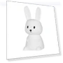 Cute Silicone Night Light with Rabbit, Whale, and Cat — Night Lights, Factory Discount Outlet