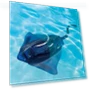 Remote Control Diving Toy with LED Lights — Aquatic Vehicles, SimpleLife77