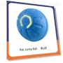 Smart Toy Ball for Dogs — Interactive Animal Companions, Exquisite pets
