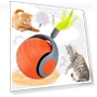 Interactive Cat Ball — Cat Playthings, QIIAII D