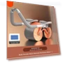 Fitness Smart Equipment with Synchronization — Core & Ab Trainers, Sea Global