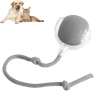 Chewie Ball Rolling Pet Toy — Balls, Diana Pet Stuff